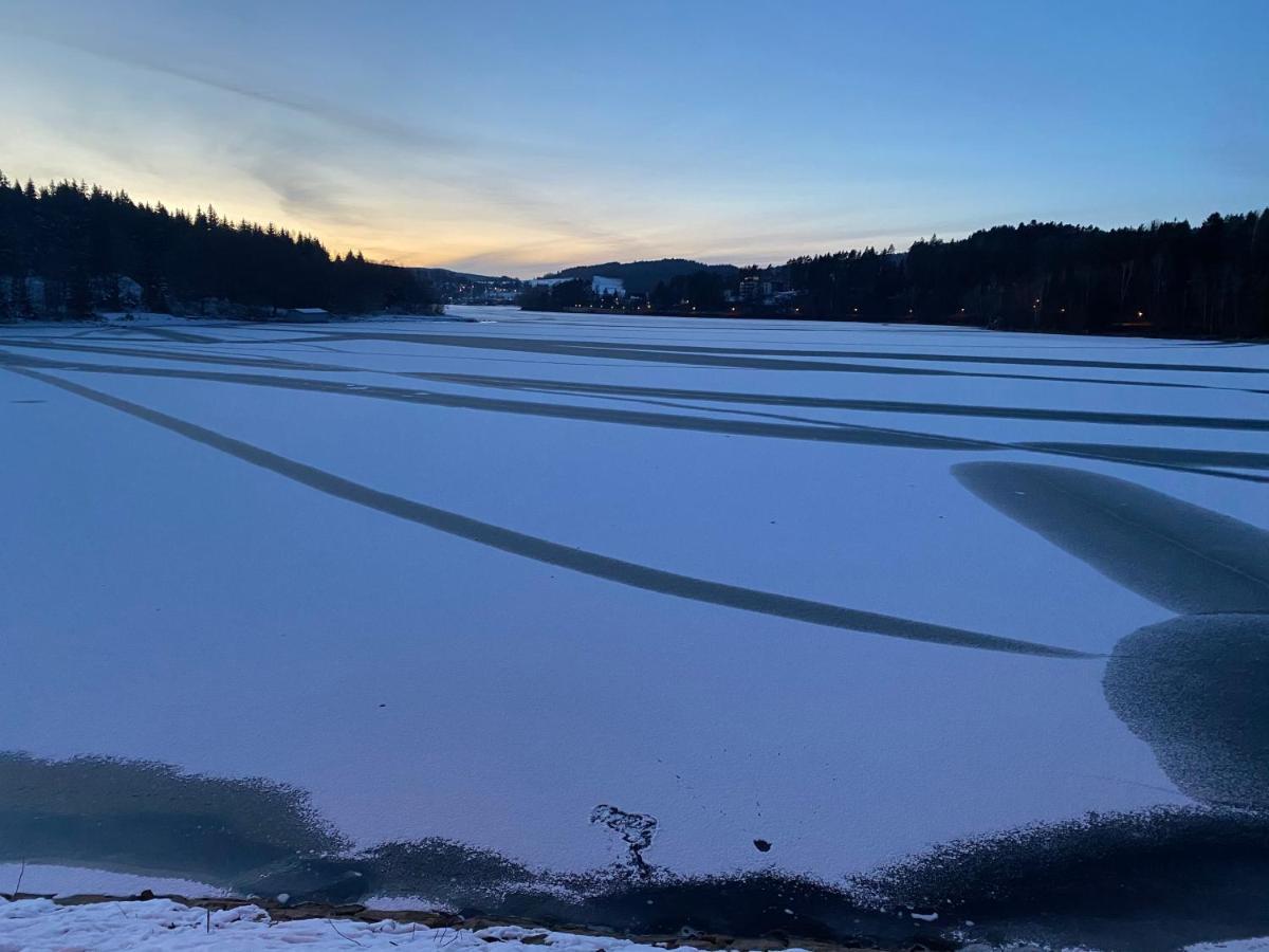 Lipno Port Apartment A103 Lipno nad Vltavou Dış mekan fotoğraf